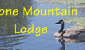 Stone Mountain Lodge and Cabins